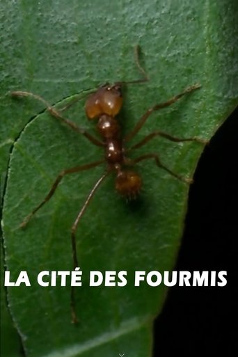 Poster of La cité des fourmis