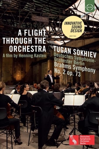 Poster of A Flight Through the Orchestra