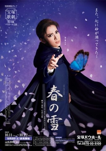 Poster of Spring Snow