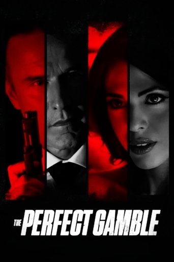 Poster of The Perfect Gamble