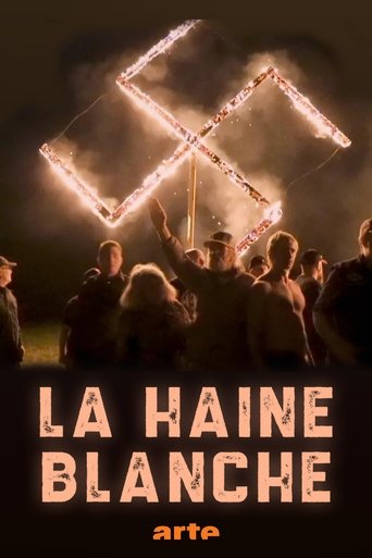 Poster of La haine blanche