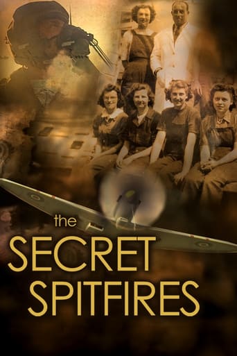 Poster of The Secret Spitfires