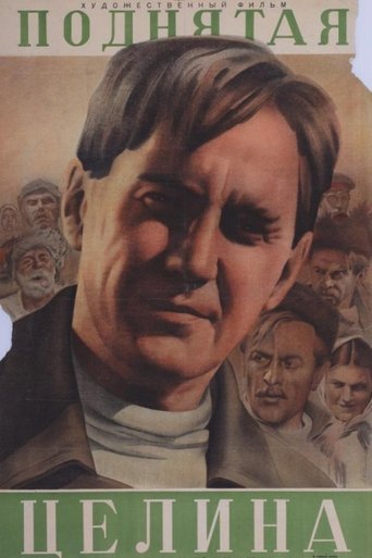 Poster of The New Land