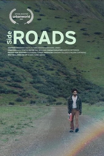 Poster of Side Roads