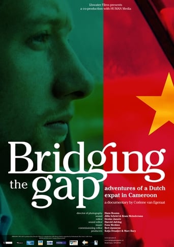 Poster of Bridging the Gap