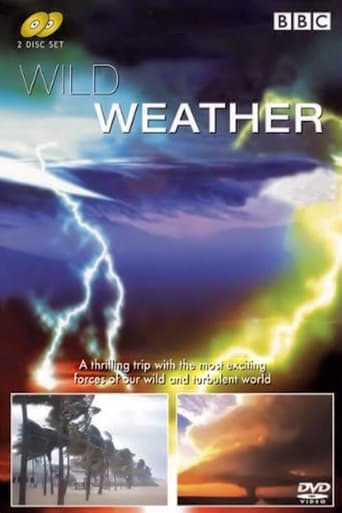 Poster of Wild Weather