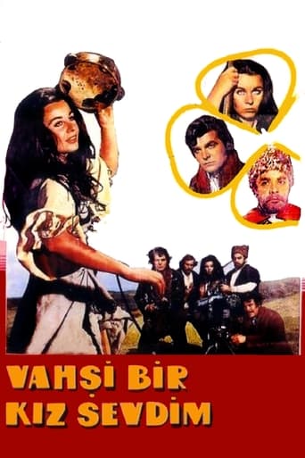 Poster of Vahşi Bir Kız Sevdim