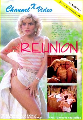 Poster of A Hot School Reunion