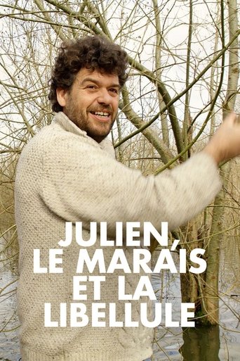 Poster of Julien, le marais et la libellule