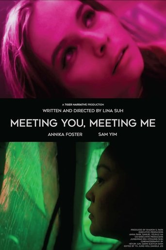 Poster of Meeting You, Meeting Me