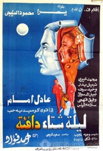 Poster of A Warm Winter Night