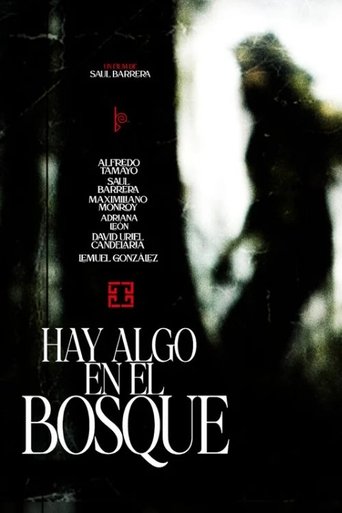 Poster of Hay algo en el bosque