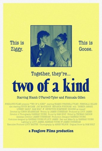 Poster of Two of a Kind