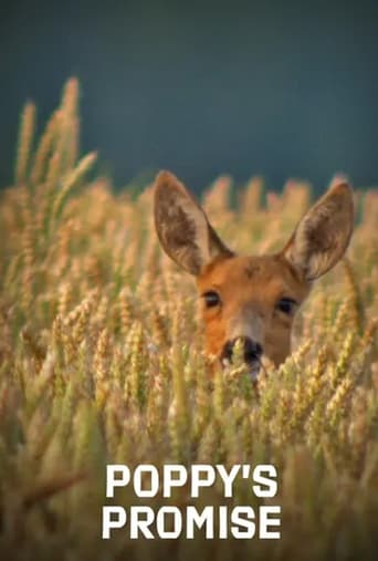 Poster of Poppy's Promise: Secret Life in a Cornfield