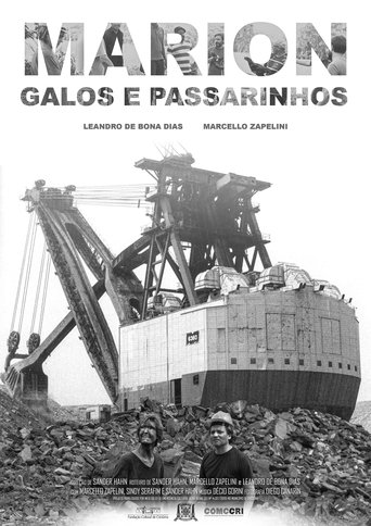 Poster of Marion, Galos e Passarinhos