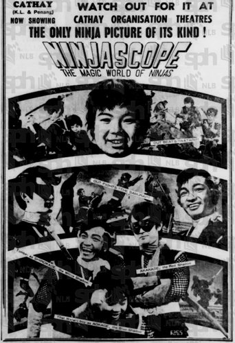 Poster of Ninjascope: The Magic World of Ninjas