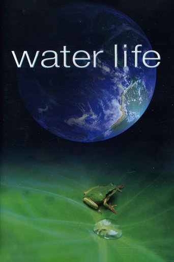 Poster of Water Life A World of Water