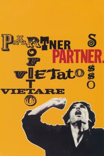 Poster of Partner