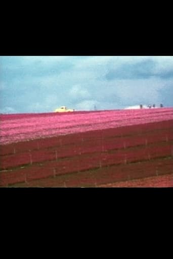 Poster of Flower Fields