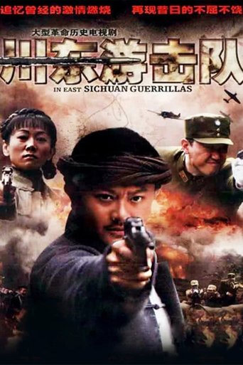 Poster of 川东游击队