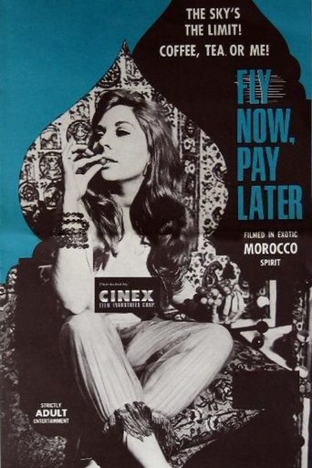 Poster of Fly Now, Pay Later