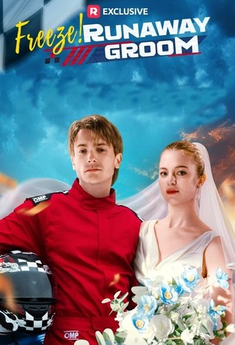 Poster of Freeze! Runaway Groom