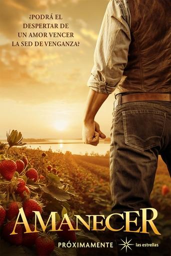 Poster of Amanecer