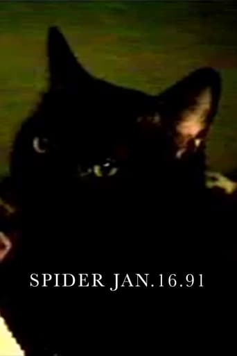 Poster of Spider Jan.16.91