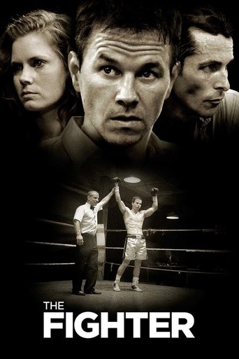 Poster of The Fighter