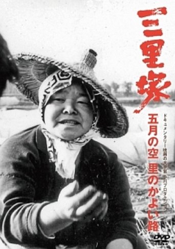 Poster of Sanrizuka: The Sky of May