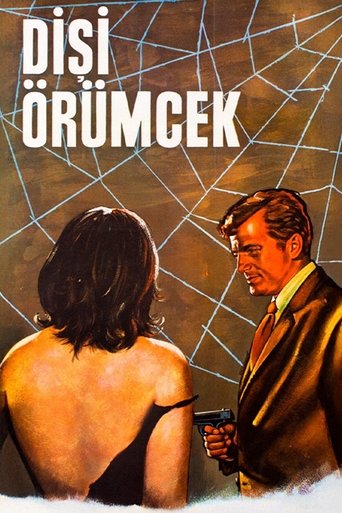 Dişi Örümcek Poster of Dişi Örümcek