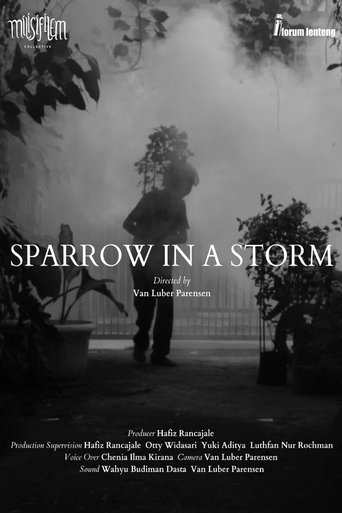 Poster of Sparrow in the Storm