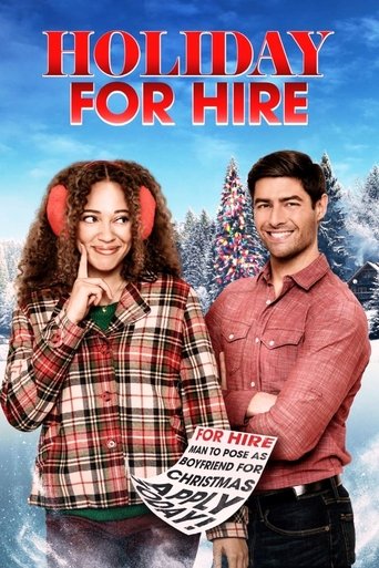 Poster of Holiday for Hire