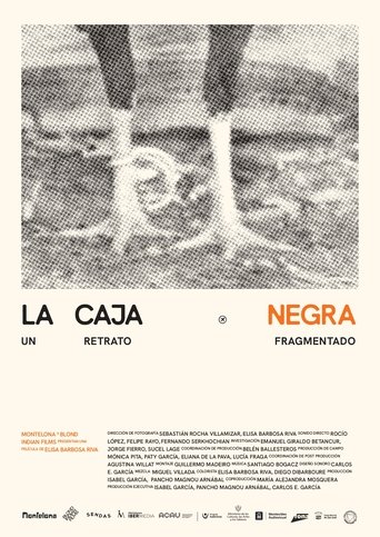 Poster of La caja negra