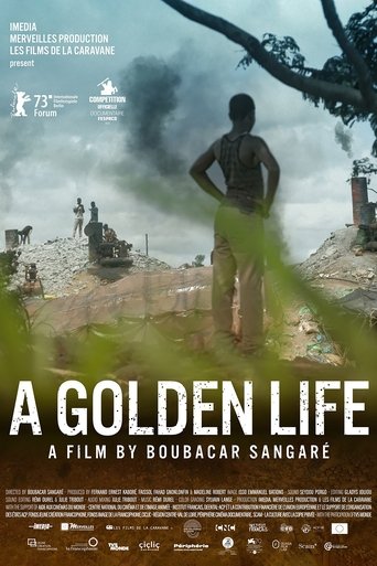 Poster of A Golden Life