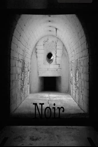 Poster of Noir