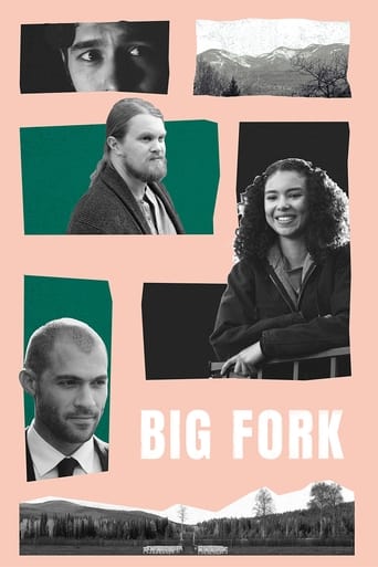 Poster of Big Fork