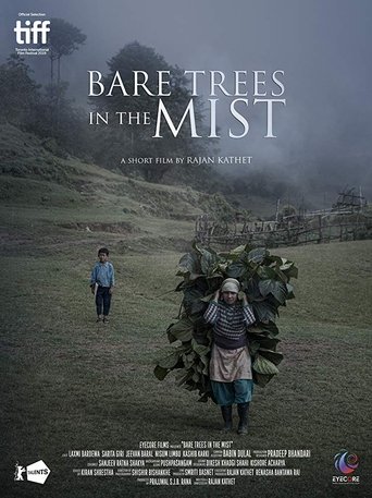 Poster of Bare Trees in the Mist