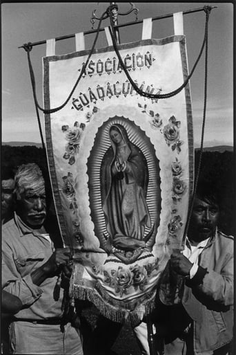 Poster of A Long Journey to Guadalupe