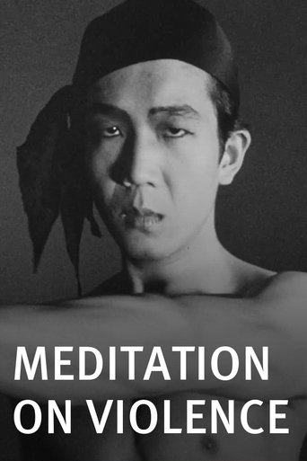 Poster of Meditation on Violence