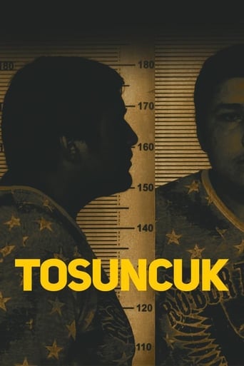 Poster of Tosuncuk