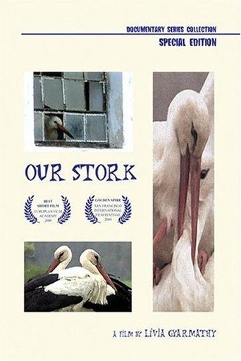 Poster of Our Stork