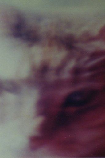 Poster of Two Cats