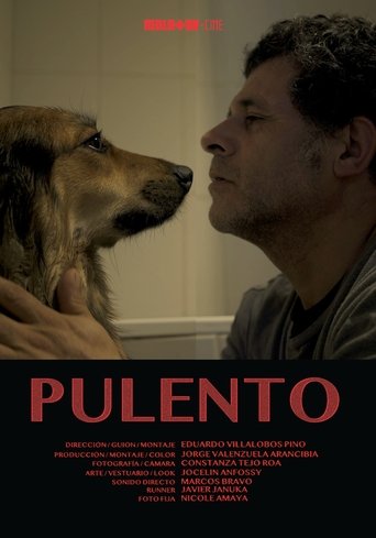 Poster of Pulento