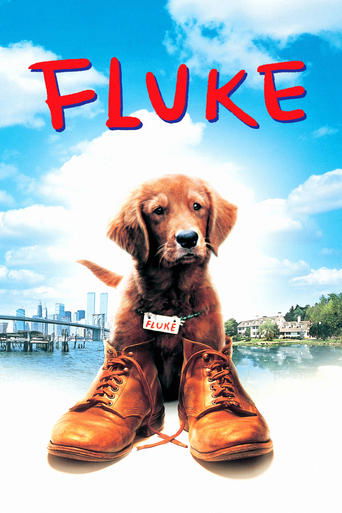 Poster of Fluke