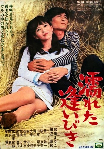 Poster of Wet Encounter