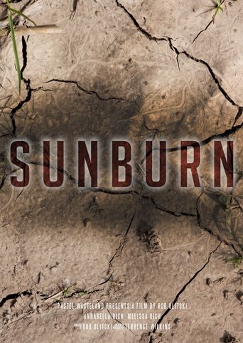 Poster of Sunburn