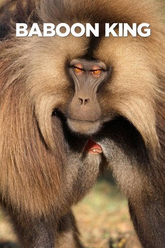 Poster of Baboon King