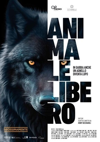 Poster of Animale libero
