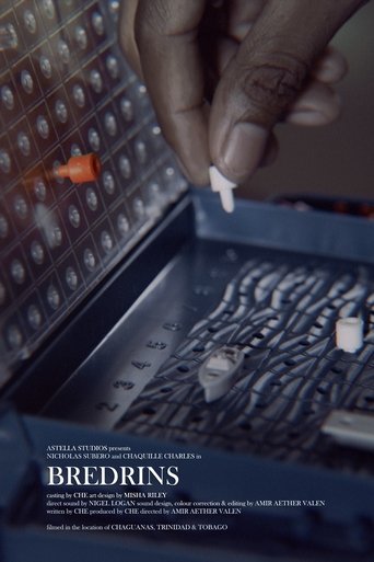 Poster of Bredrins